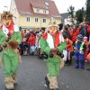 2014 Fasnet gemischt von Franz