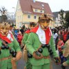 2014 Fasnet gemischt von Franz