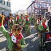 2014 Fasnet gemischt von Franz