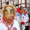 2014 Fasnet gemischt von Franz