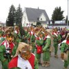 2014 Fasnet gemischt von Franz