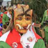 2014 Fasnet gemischt von Franz