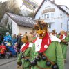 2015 Fasnet gemischt