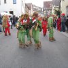 2015 Fasnet gemischt