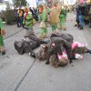 2015 Fasnet gemischt