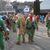 2015 Fasnet gemischt