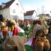 2015 Fasnet gemischt