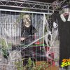 31.10.2017 Schelloween Bilder von Franz