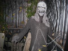 Schelloween 2010  504 