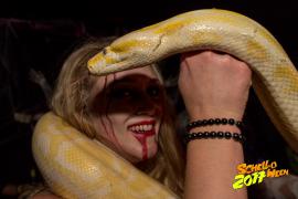 Schelloween 2017 AW Homepage  592