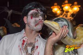 Schelloween 2017 AW Homepage  593