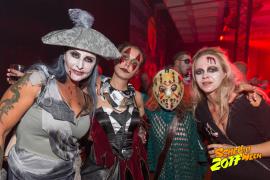 Schelloween 2017 AW Homepage  803