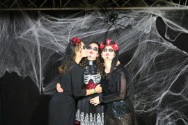 IMG 8893