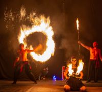 Schelloween 2019 AW 1462