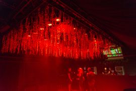 Schelloween 2019 AW 8942